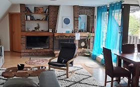 Sehr schöne, große und zentral gelegene Wohnung